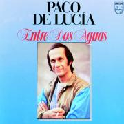 Entre dos aguas